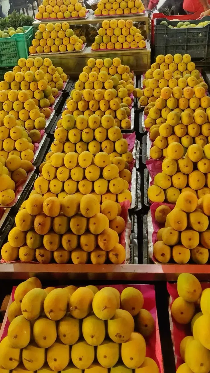 The Essential Guide to Importing Alphonso IQF Mango Cubes: Quality Standards & Global Logistics