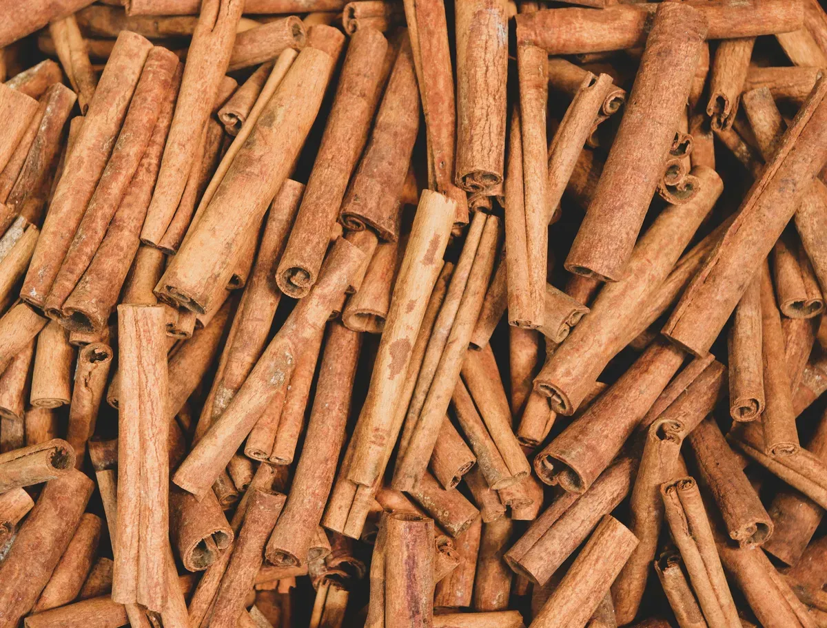 Cinnamon Export from India: Premium Ceylon & Indian Cinnamon for Food, Beverage and Spice Industries