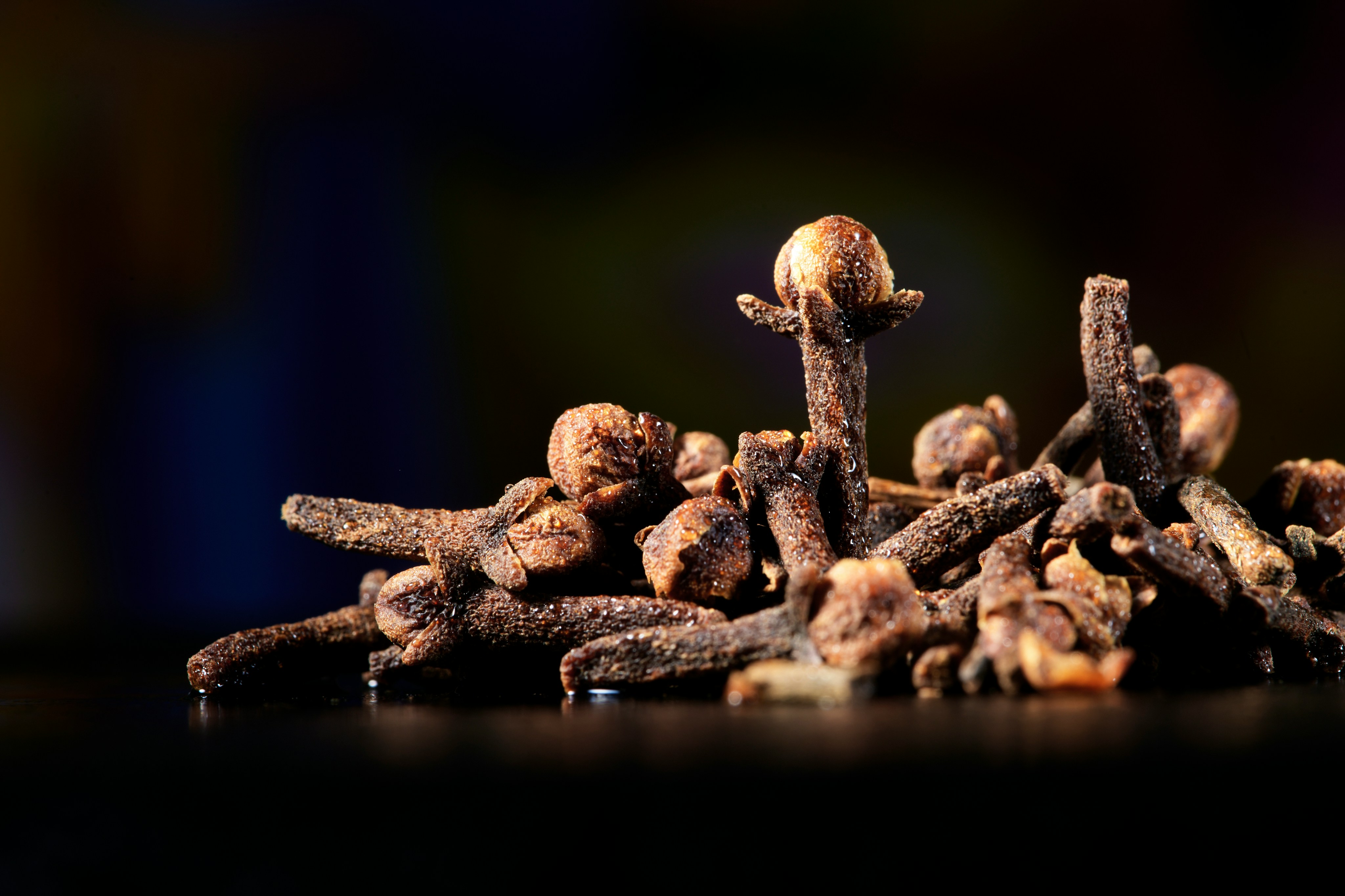 Whole Cloves Export from India: Premium Aromatic Spice for Food, Beverage & Flavor Industries