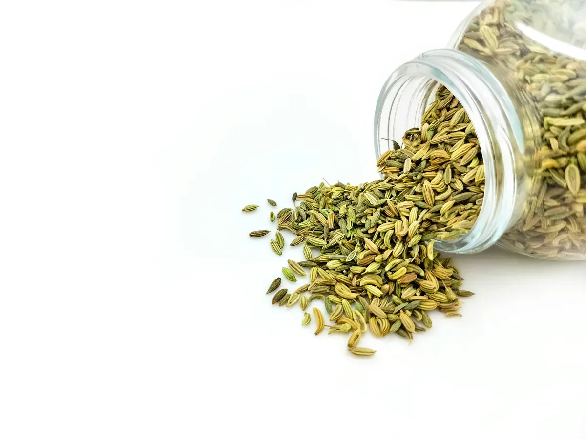 The Spice That Defines a Cuisine: Gadhiya Group's Singapore Quality Cumin Seeds for Global Spice Buyers