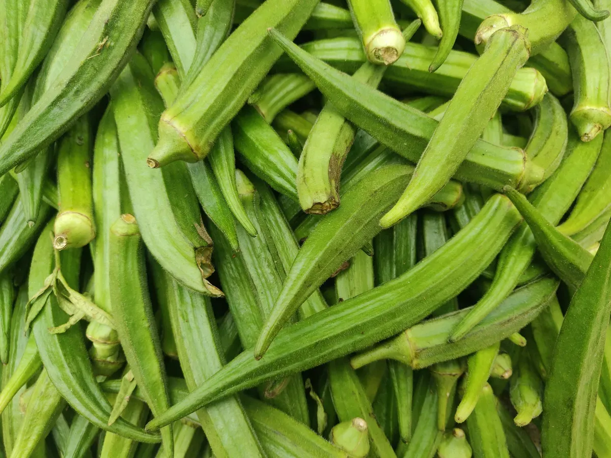 Cut or Whole, Fresh Every Time: Gadhiya Group's IQF Okra Is Redefining Frozen Vegetables for Global Buyers