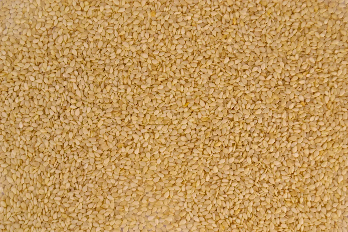 Ancient Seed, Global Demand: Gadhiya Group's Natural White Sesame Seeds for Tahini, Oil and Bakery Markets Worldwide