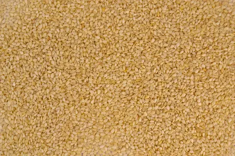 Ancient Seed, Global Demand: Gadhiya Group's Natural White Sesame Seeds for Tahini, Oil and Bakery Markets Worldwide